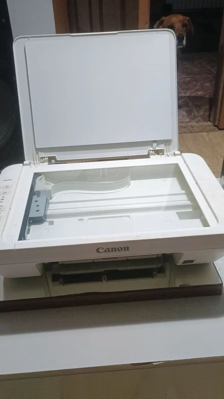 Vendo ou troco 100 pra ir embora .