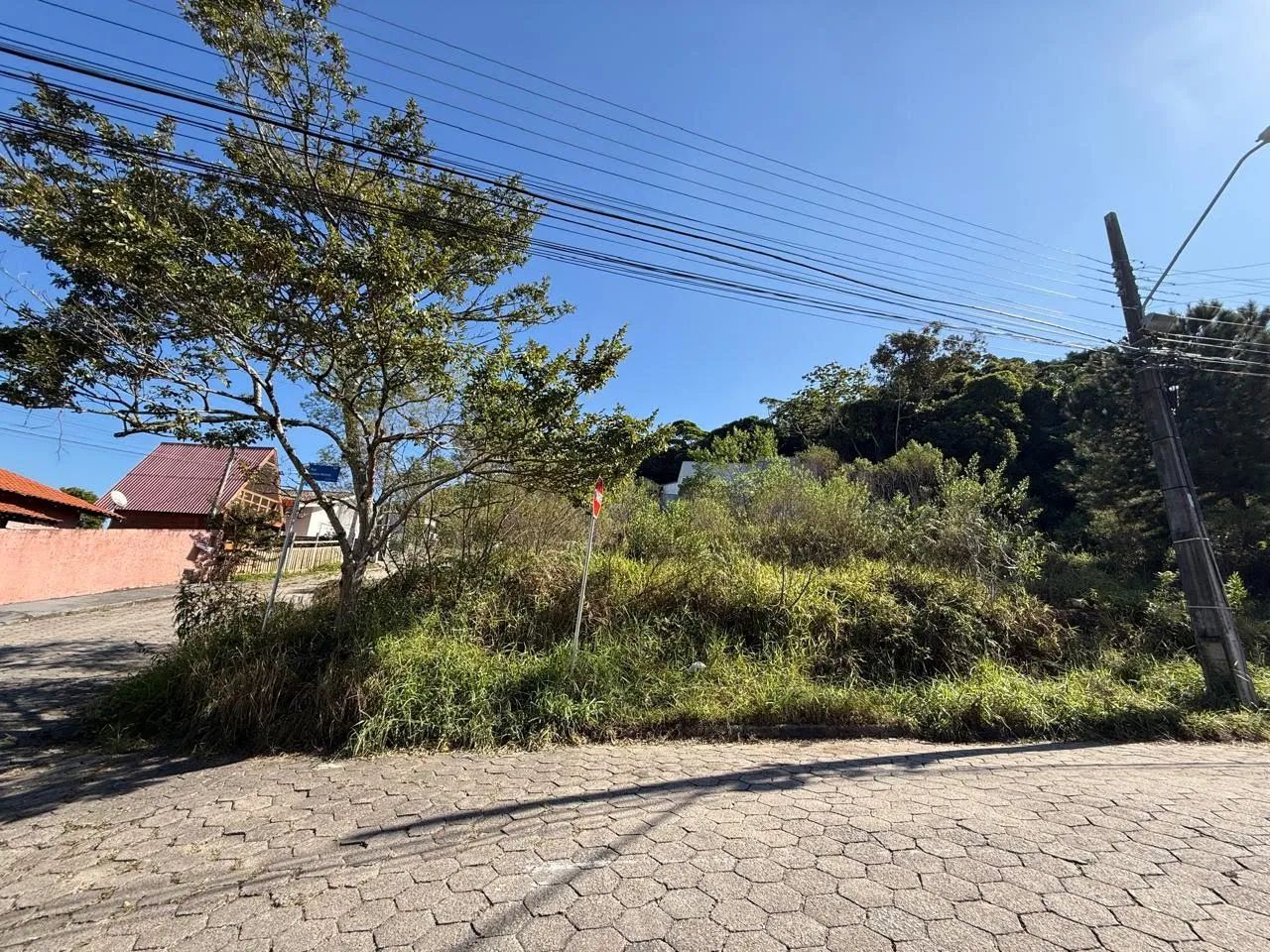 Lote / Terreno em Forquilhas - São José - Foto 5