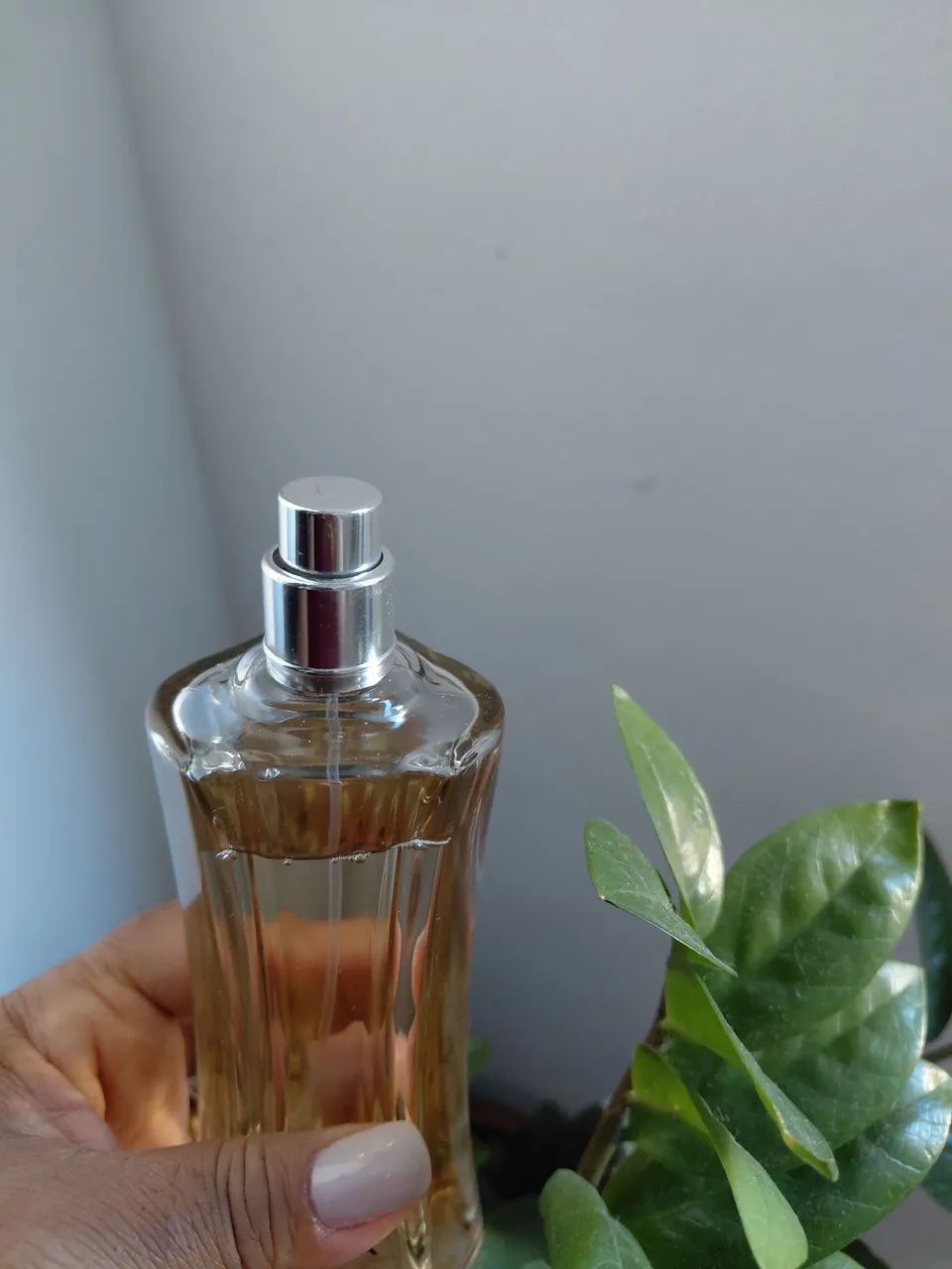 Perfume  - Foto 2