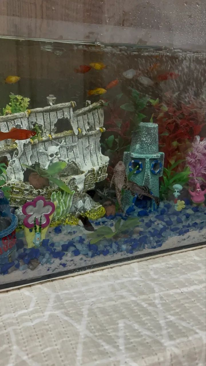 Aquário temático  - Foto 2