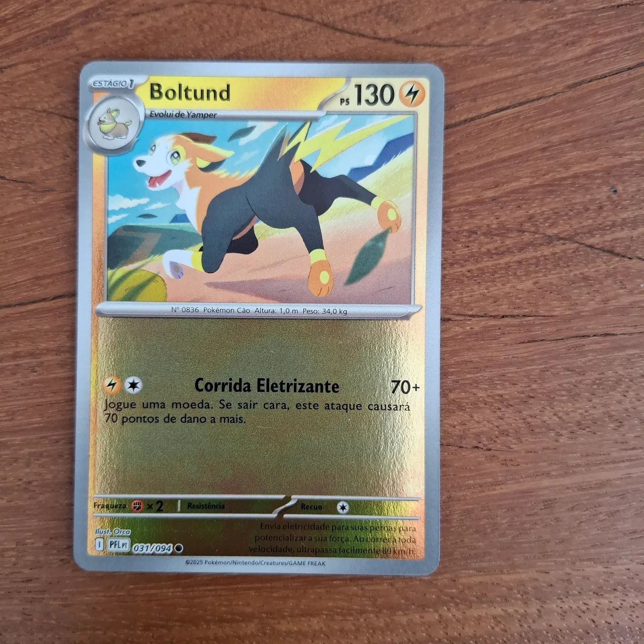 Carta Pokemon Boltund