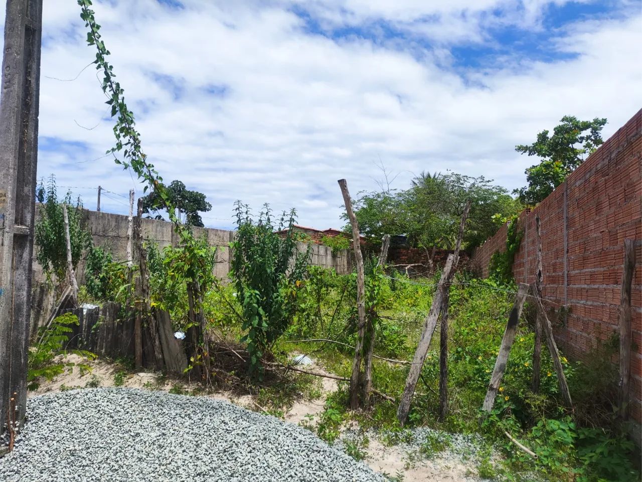 Foto - São Luís - Vila Luizão