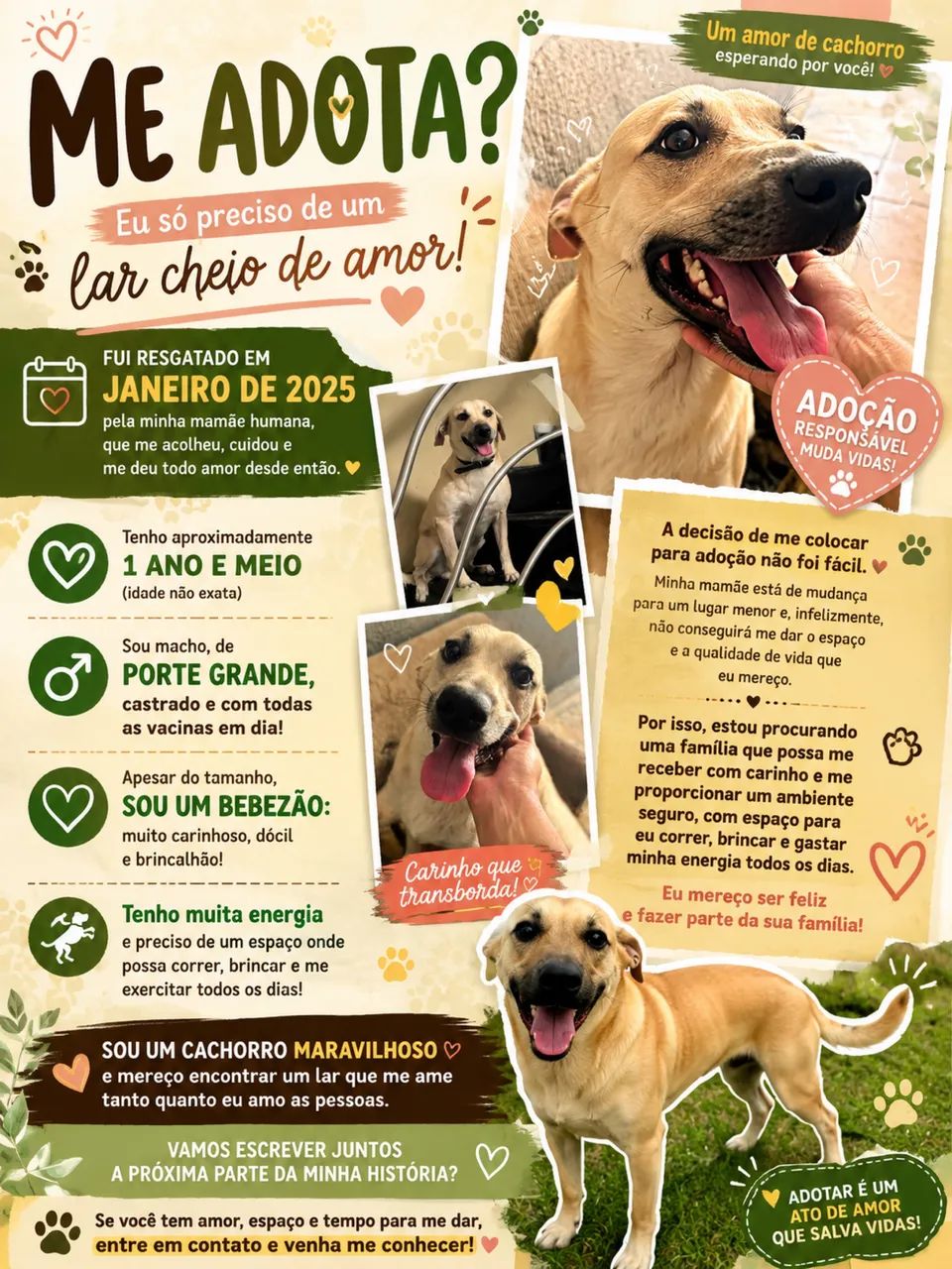 Adoção de cachorro  - Foto 2