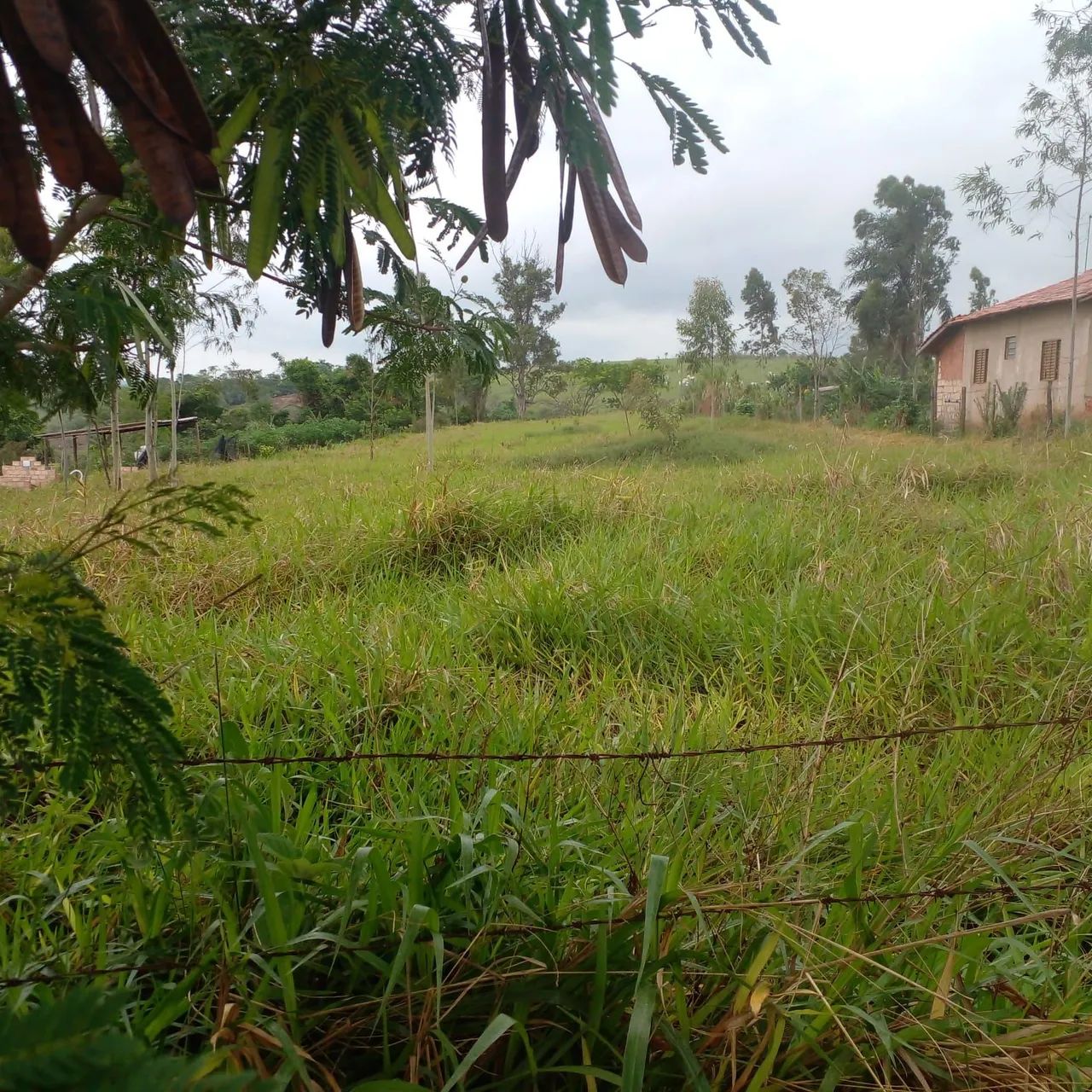 Terreno chácara  - Foto 4