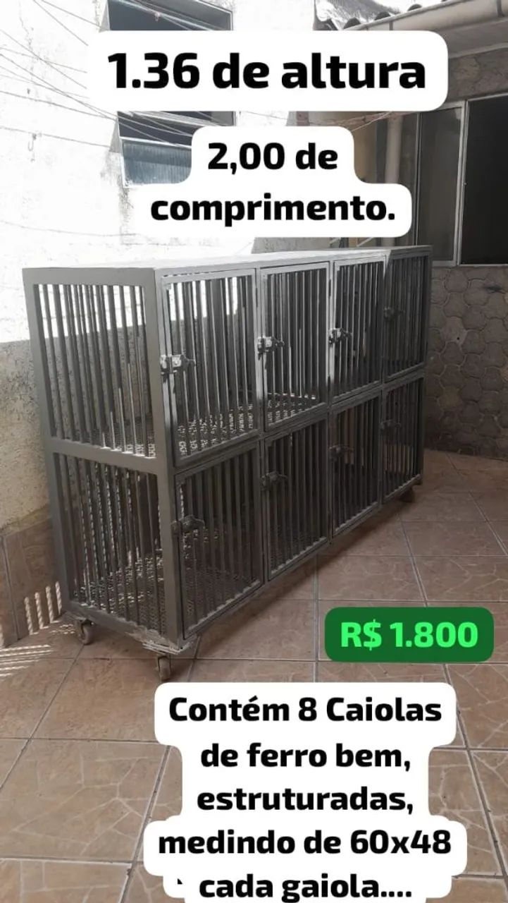 Gaiola de Ferro segura com 8 estações de canil 
