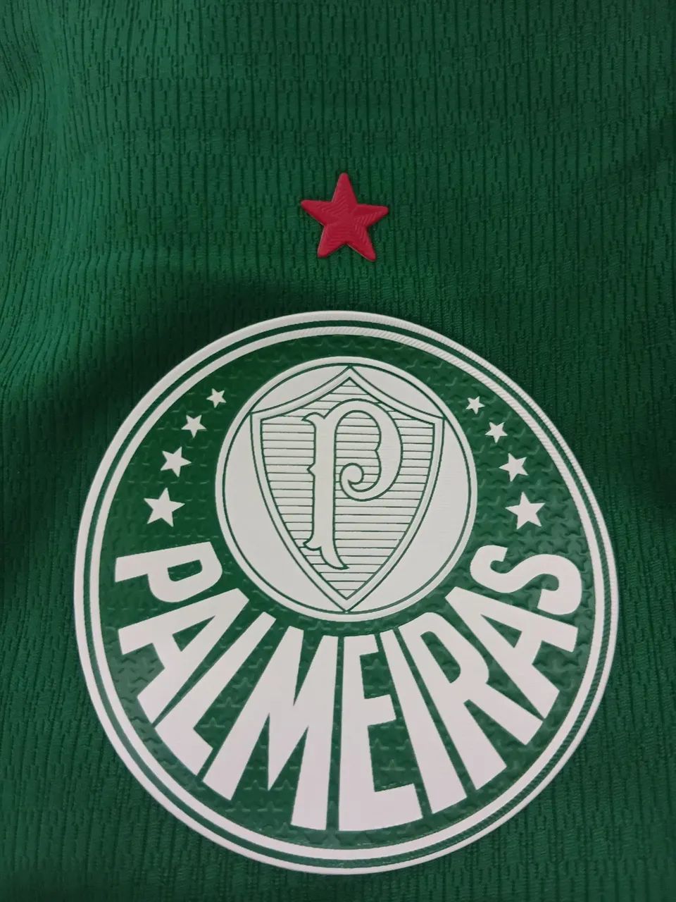 Camisa Palmeiras 2026 - Foto 2