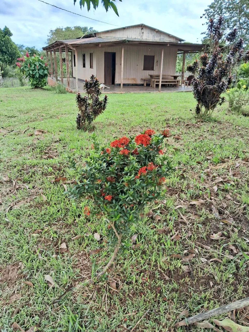 Chácara no Bujari  - Foto 2