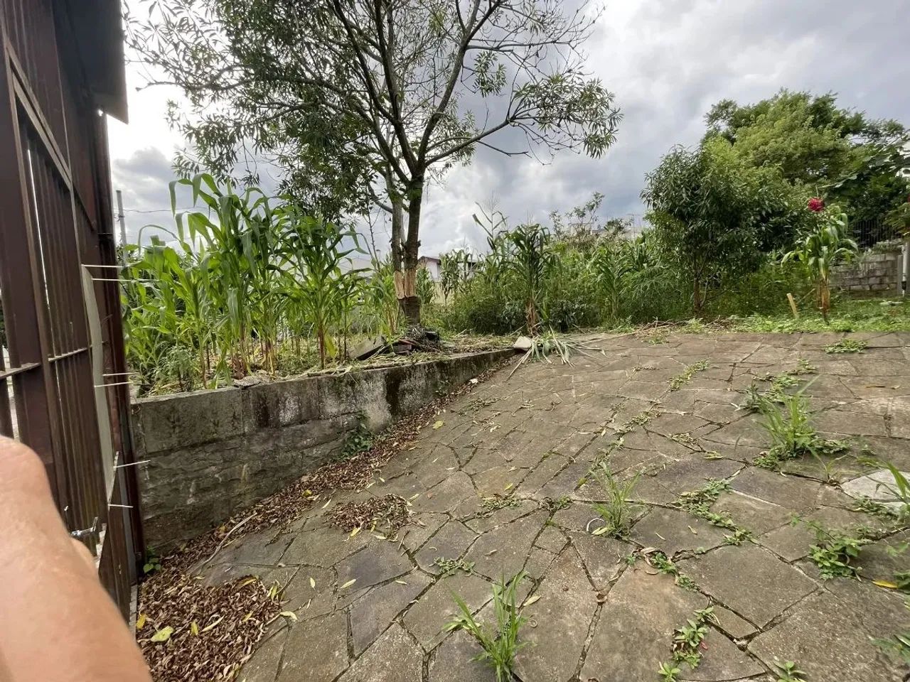 CAXIAS DO SUL - Terreno Padrão - COLINA SORRISO - Foto 4