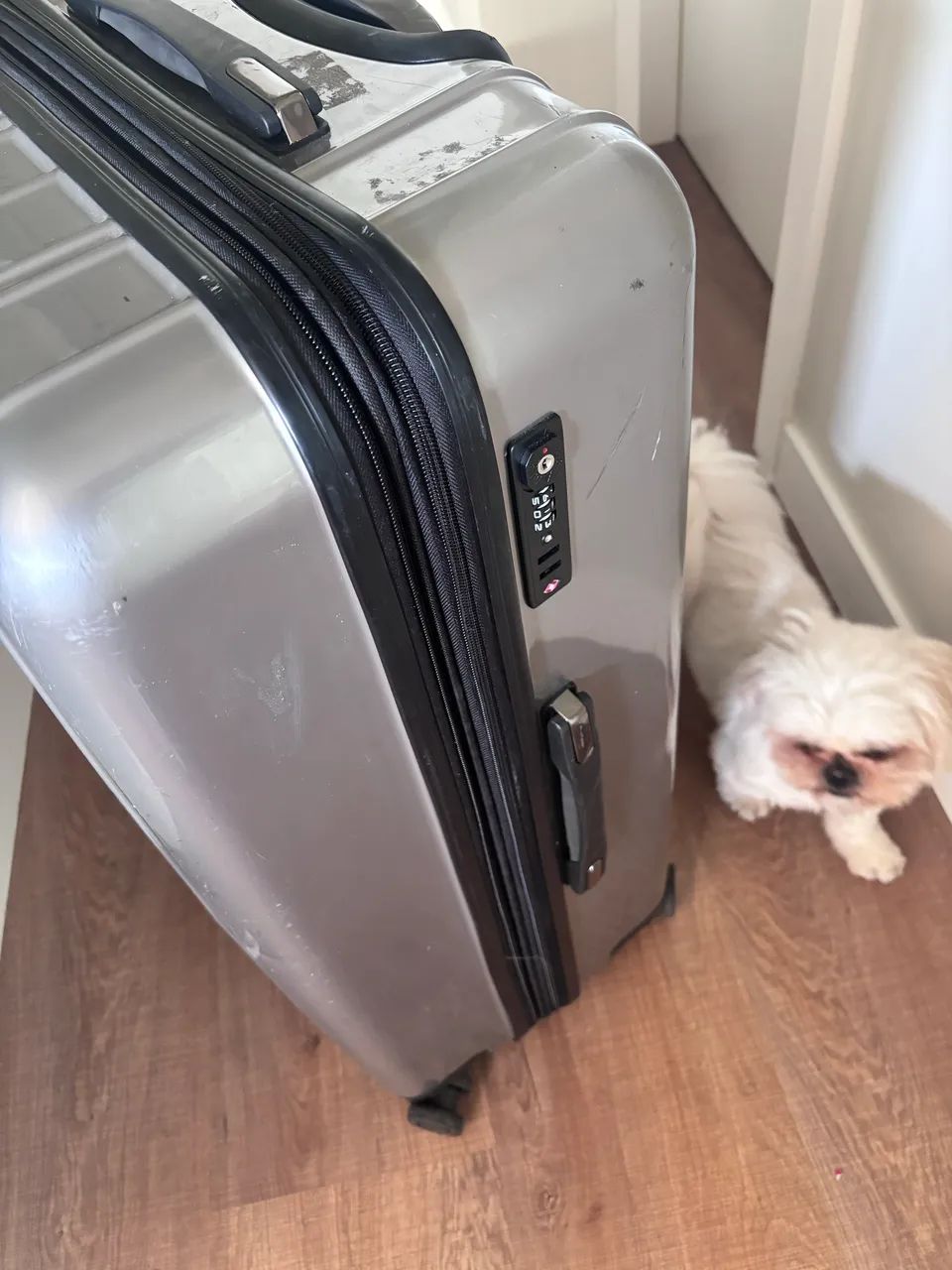 Mala de viagem  - Foto 3