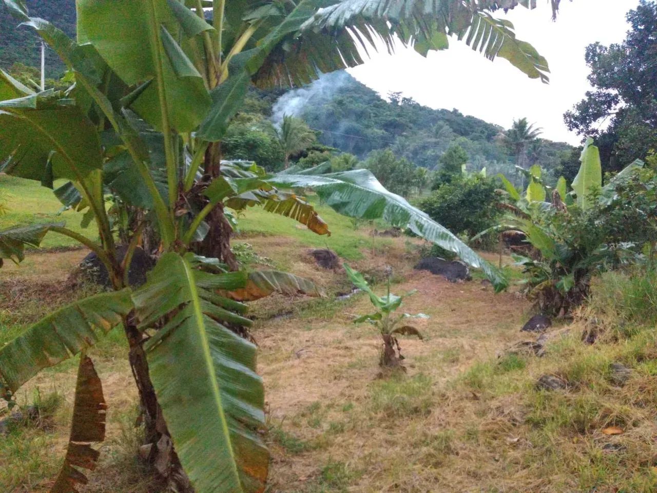 Terreno com riacho cristalino - Foto 4