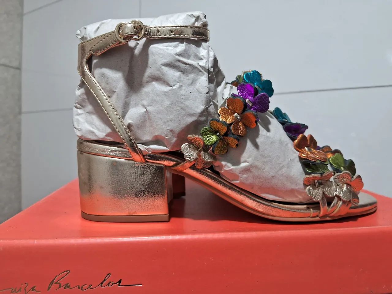 Sandália Luiza Barcelos - Foto 2
