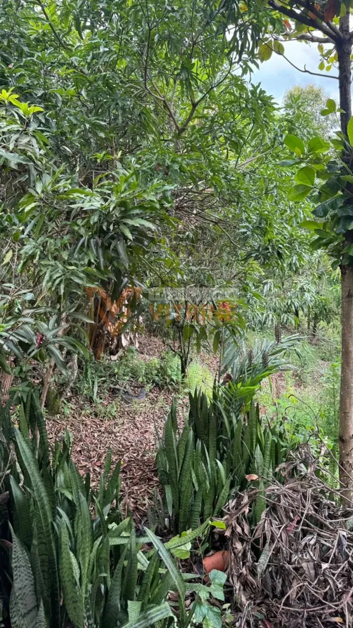 Imóvel à Venda | Sítio  Morro do Cedro | Rio Manso/MG - Foto 4