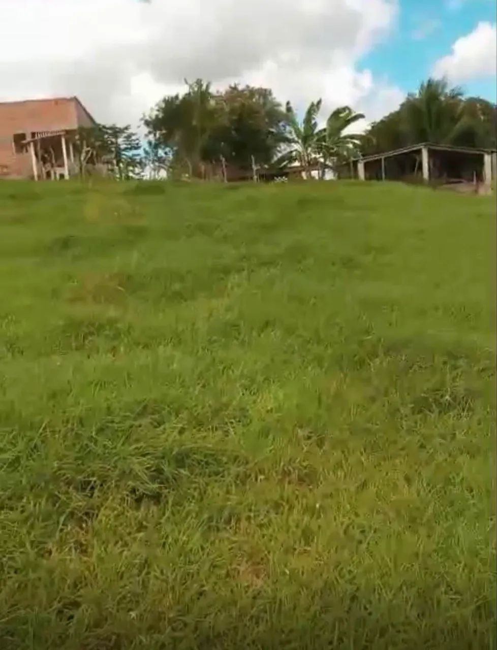 Fazenda Penedo  - Foto 4