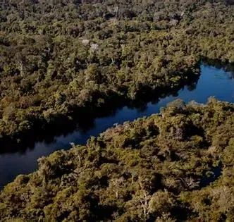 Imóvel para venda tem 380000000 metros quadrados em Centro - Pauini - AM - Foto 2