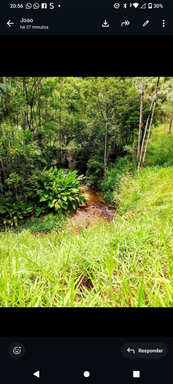 Terreno de sítio com platô pequeno para chalé 2900 metros - Foto 4