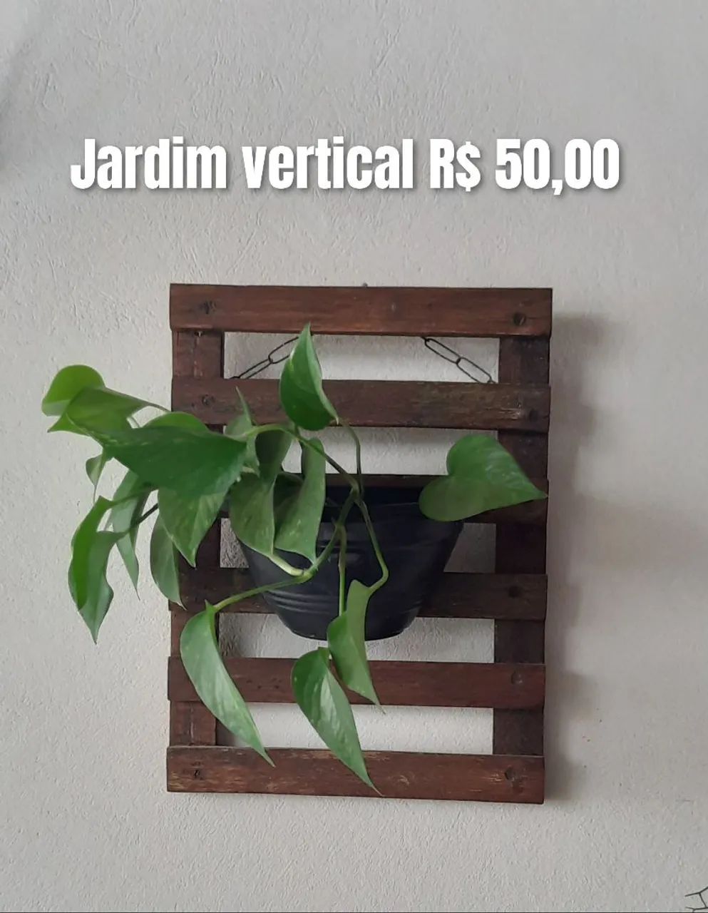 Jardim vertical  - Foto 4