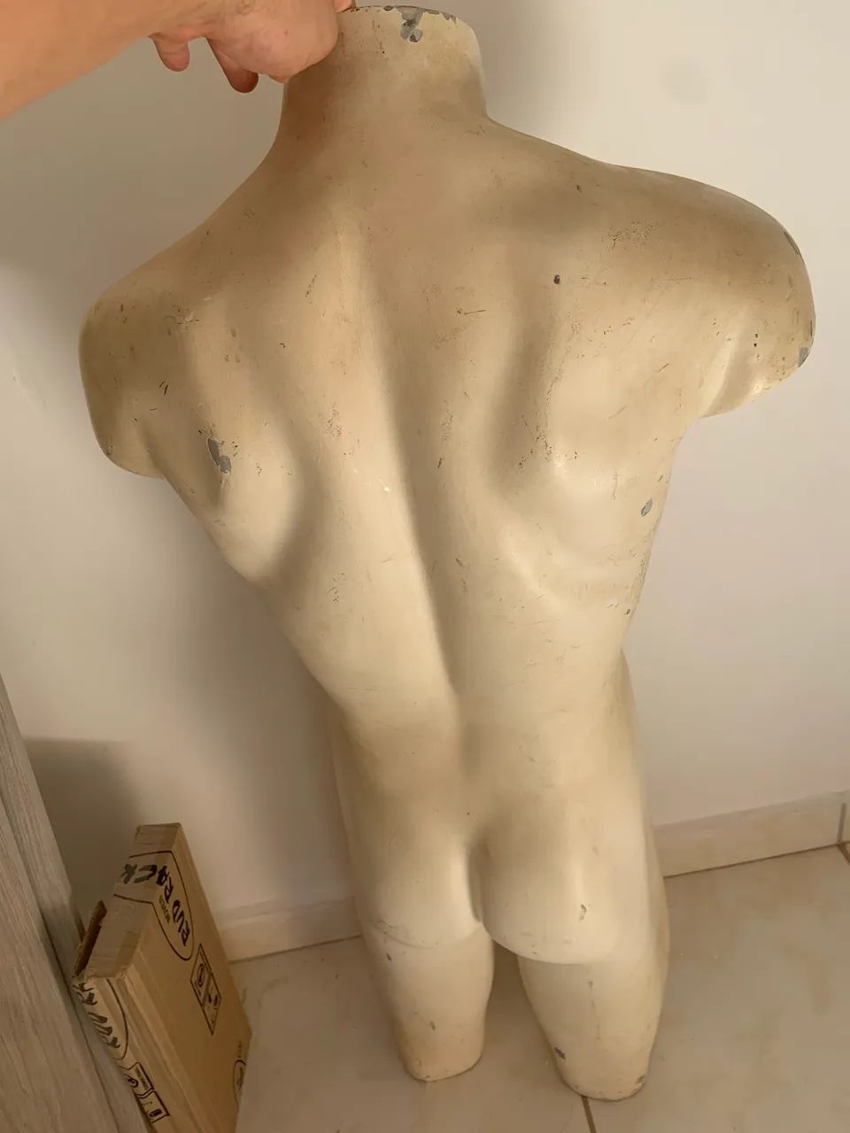Corpo Manequim 