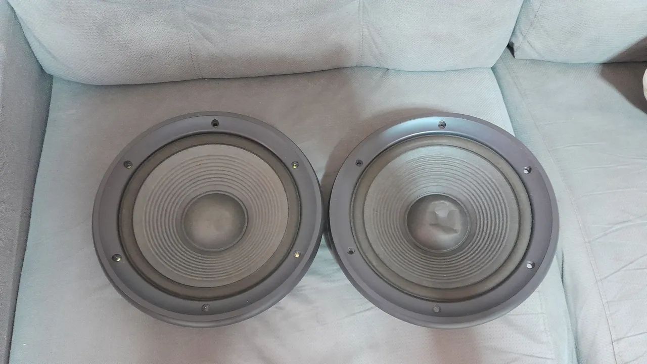 Par de alto falante Technics 10 polegadas 