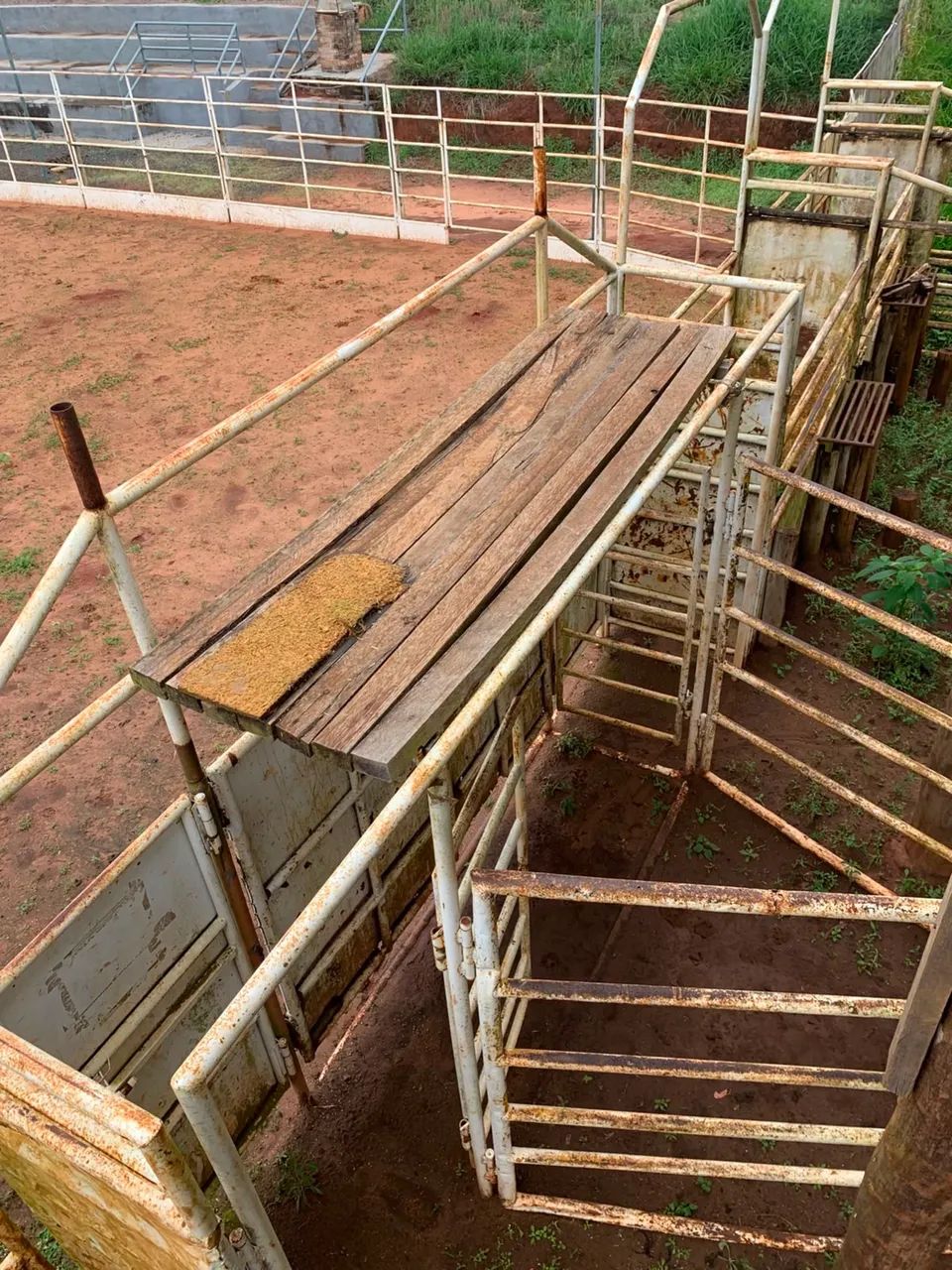 Arena de rodeio completa  - Foto 4