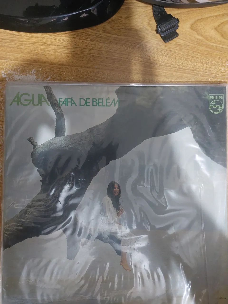 Águia  - Fafá de Belém (1977)
