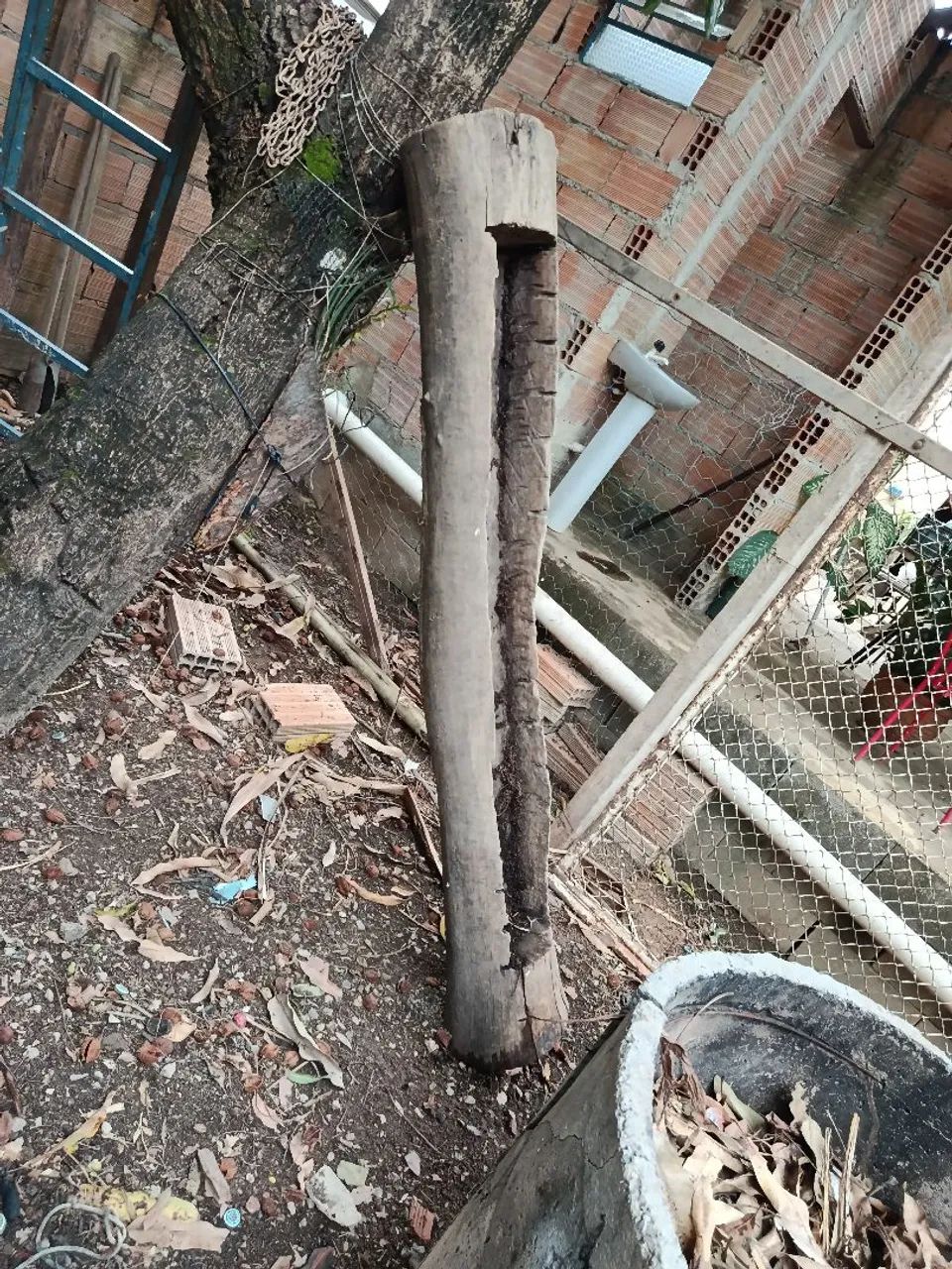 Cocho madeira 