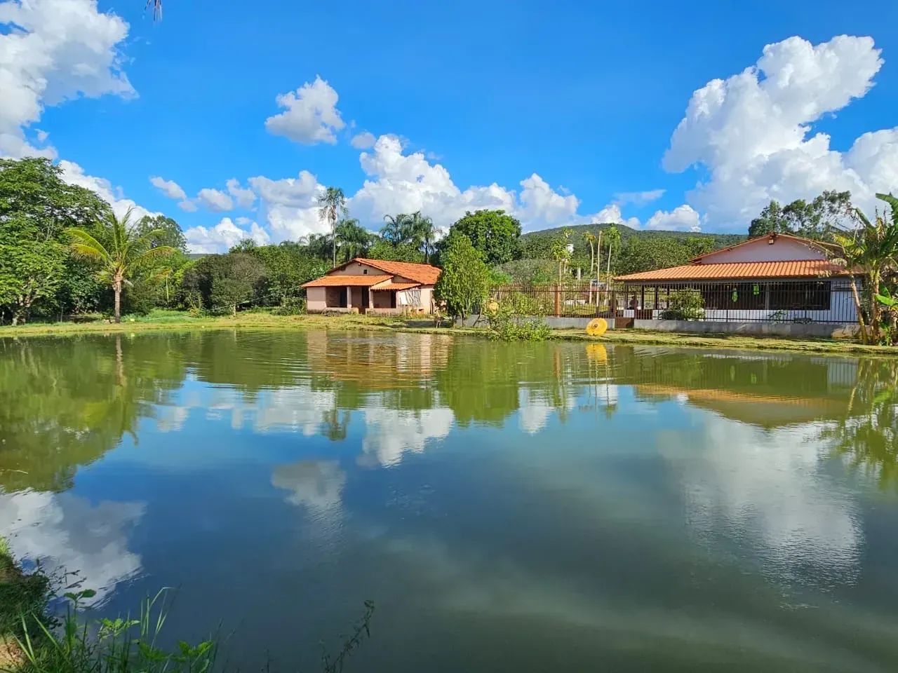 Fazenda 5.5 Alqueires - Foto 2