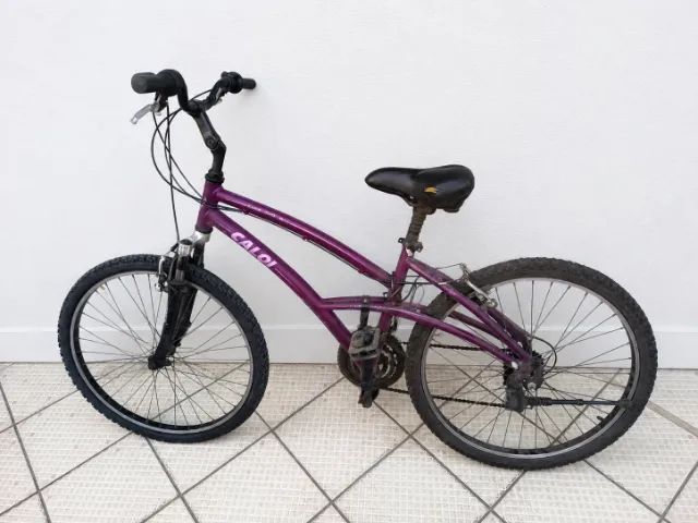 Bicicleta Usada