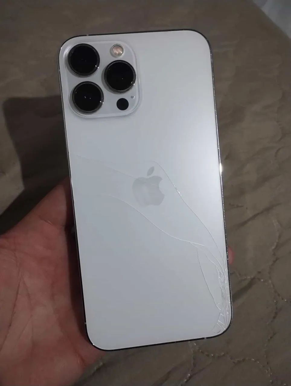 13 pro max
