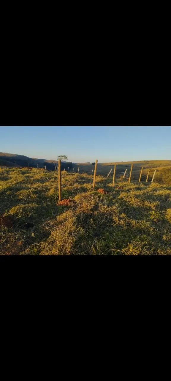 Terreno próx Paty Alferes - Foto 4