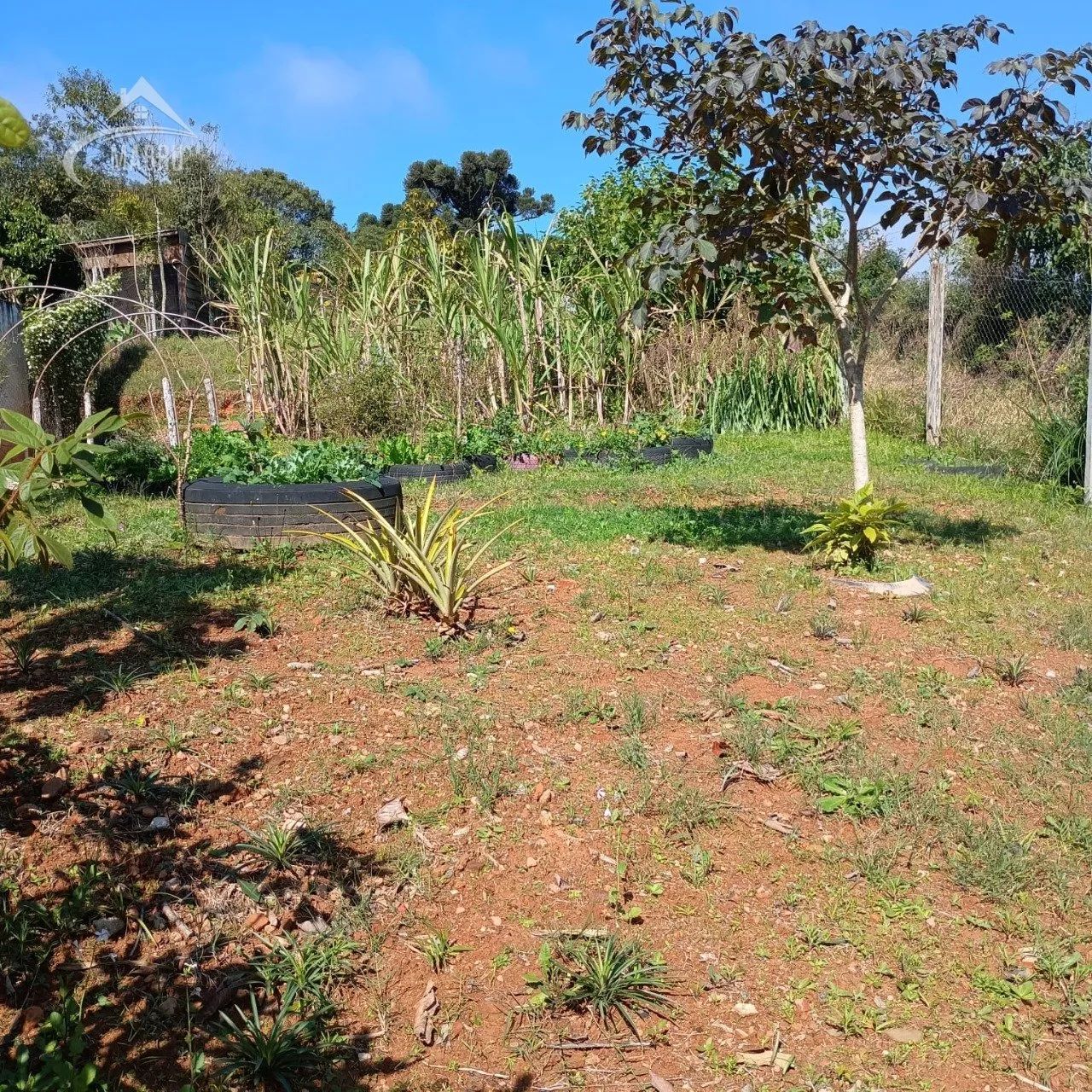 Terreno à venda com 0 dormitórios em Pessegueiros, Balsa nova cod:90 - Foto 3