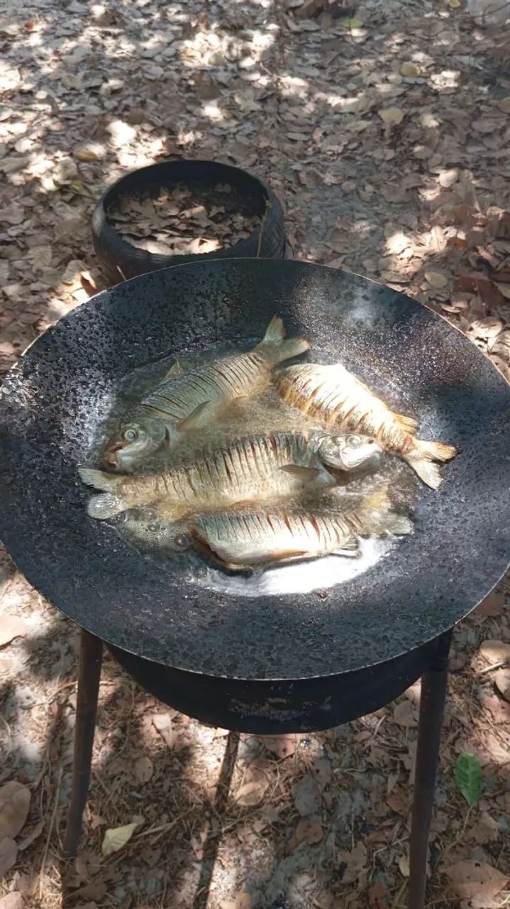 TACHO DE ARADO PARA CHURRASCO.  - Foto 5