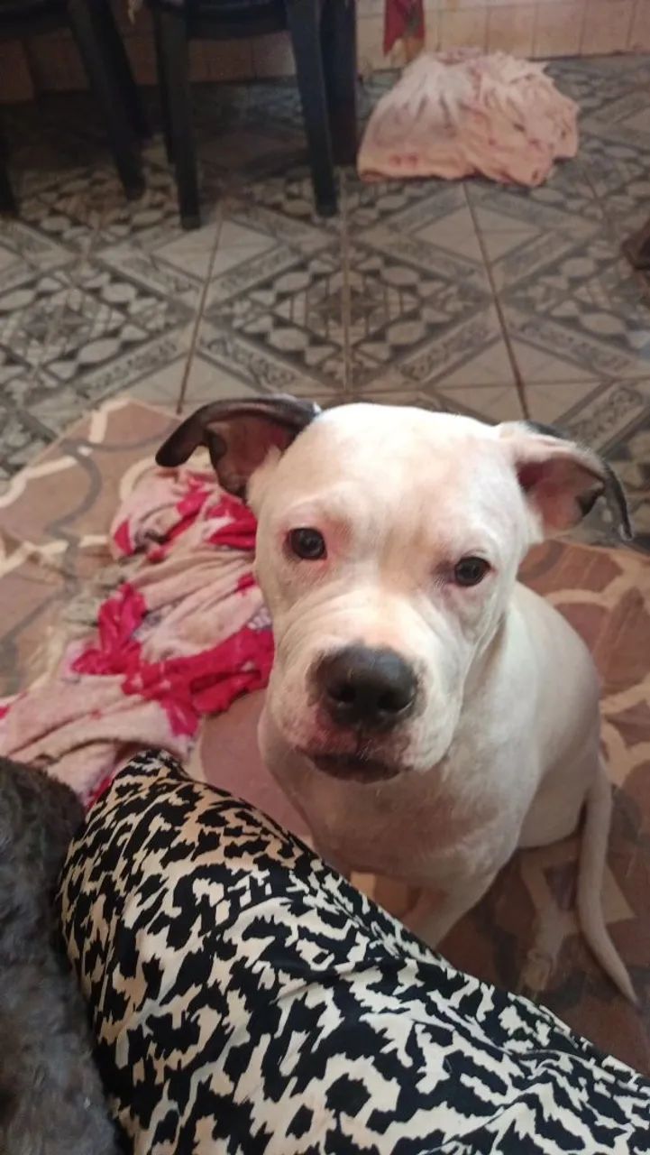 Doação de boxer