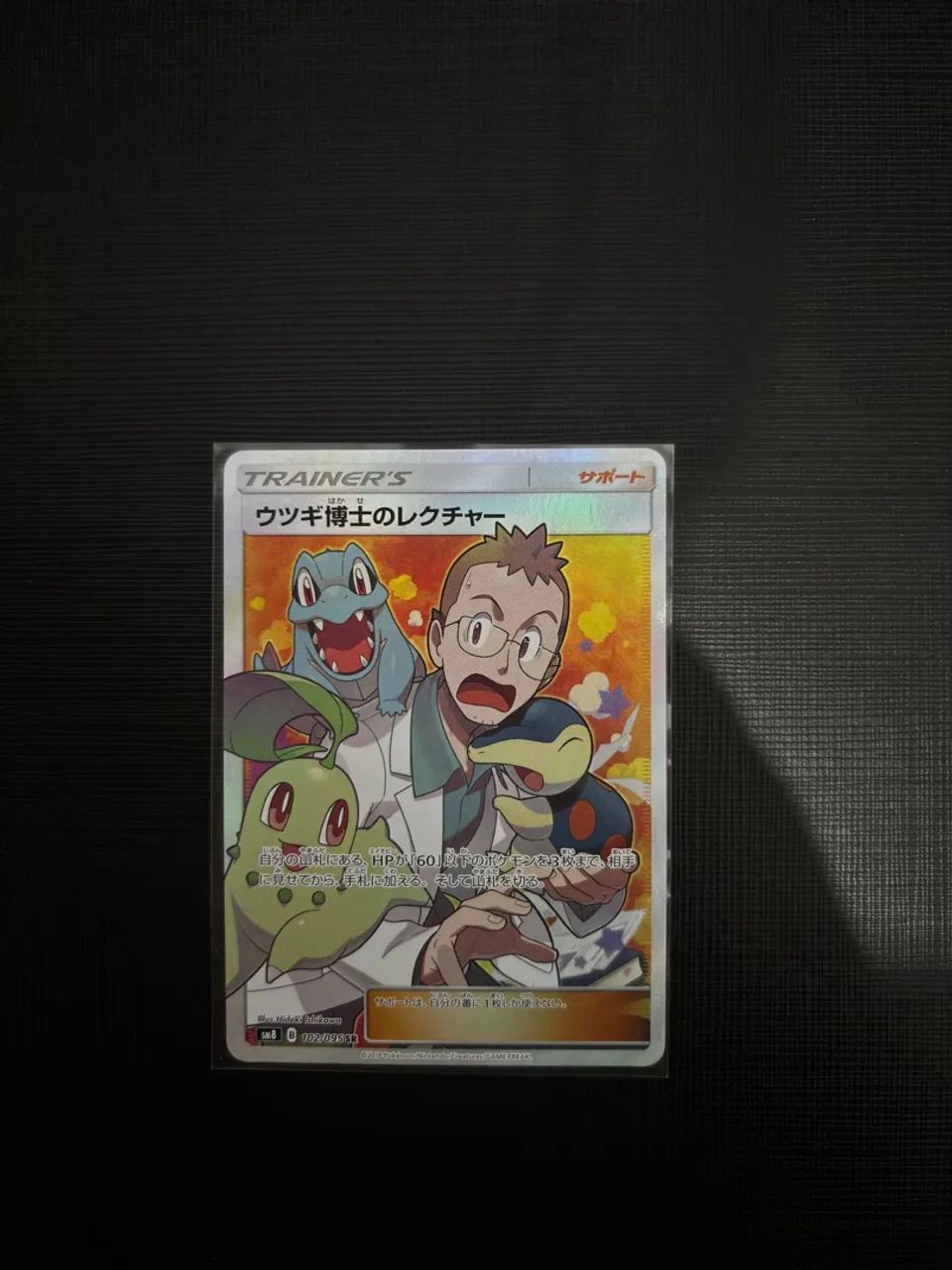 Pokémon Professor Elm Lecture - 102/095