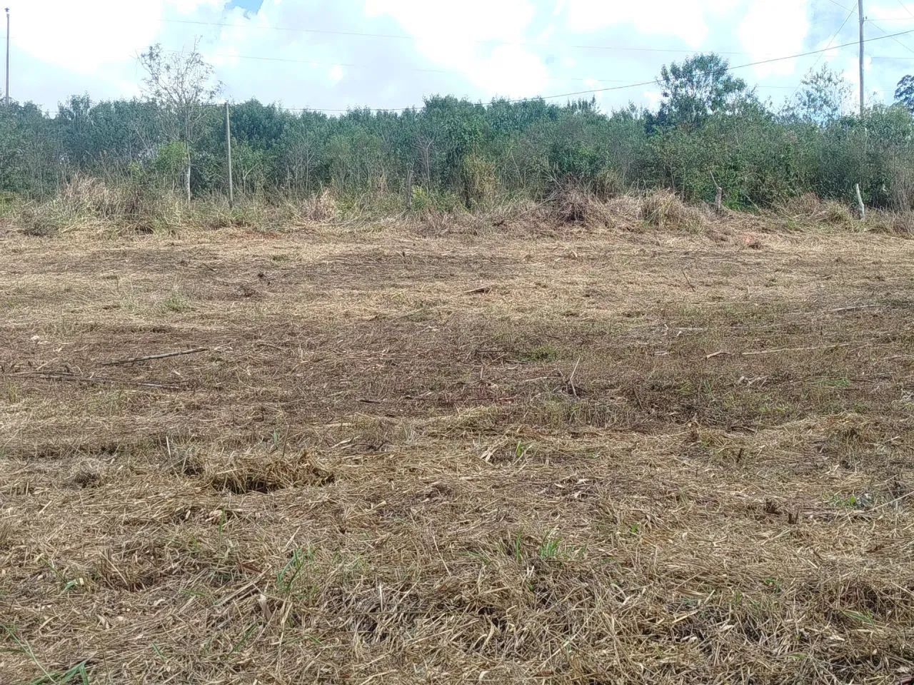 Sítio em Crucilândia - Foto 3