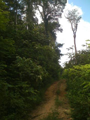 Zé Doca - Maranhão: Vendo Propriedade Rural - Foto 9