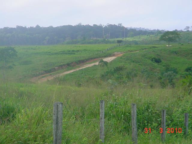Zé Doca - Maranhão: Vendo Propriedade Rural