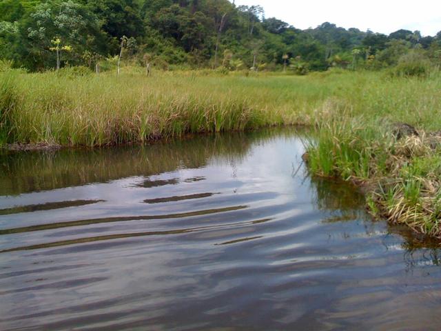 Zé Doca - Maranhão: Vendo Propriedade Rural - Foto 7