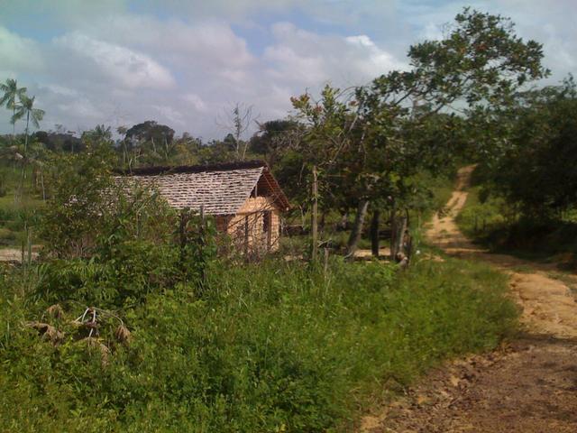 Zé Doca - Maranhão: Vendo Propriedade Rural - Foto 2