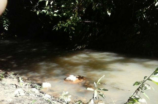 Lindíssima Fazenda, á 40 km de Formosa GO.