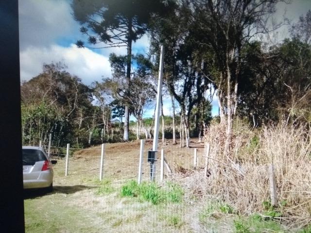 Terreno em S.J.Pinhais - Foto 7