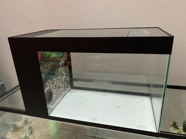 Aquário novo com sump lateral, vidro, tampas, 40x20x25cm