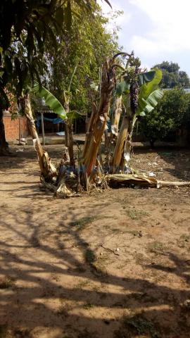 Casa à venda com 3 dormitórios em Chácaras assay, Hortolândia cod:CA271712 - Foto 10