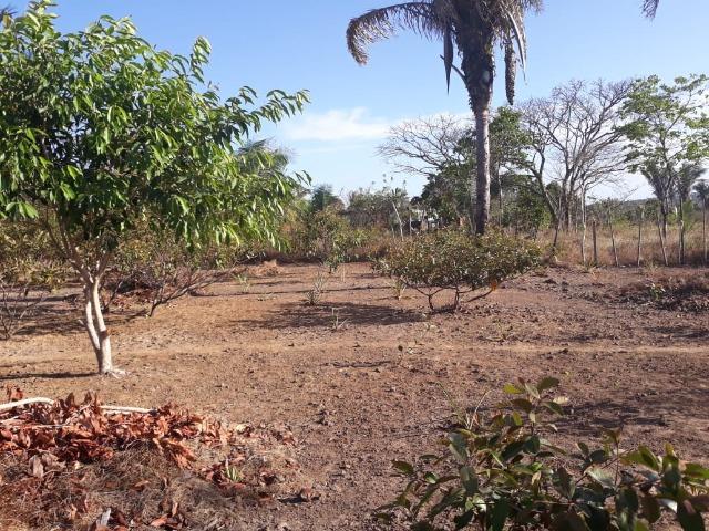 Terreno / Sítio - Foto 7