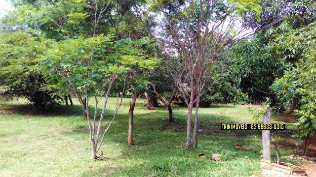 Fazenda de 13 alq. em Trindade - Foto 16