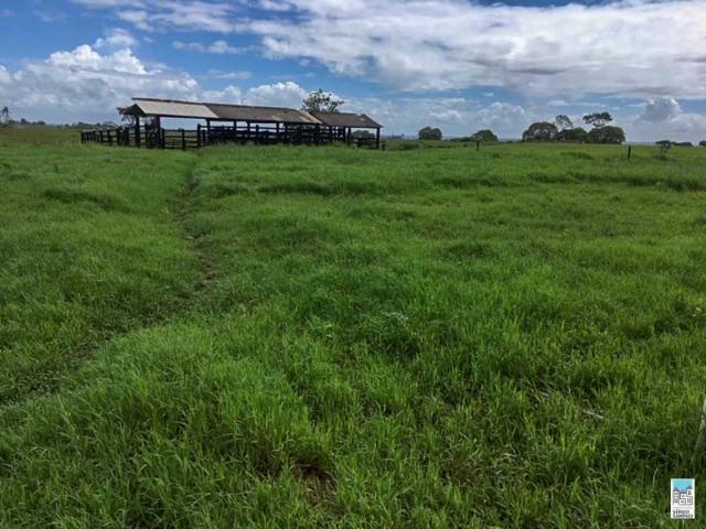 Excelente Fazenda em Amélia Rodrigues - Bahia - Foto 7