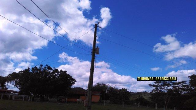 Fazenda de 13 alq. em Trindade - Foto 11
