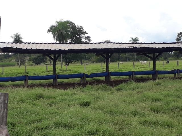 Área para confinamento ou laticínio na comunidade olho dagua na BR 364 a 30 km de Cuiabá - Foto 3