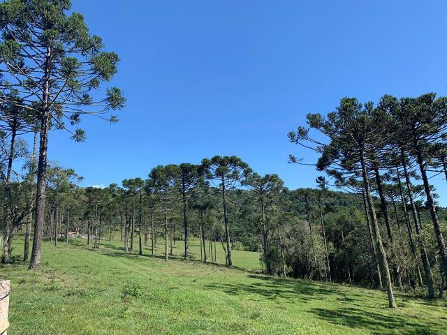Urubici/ chácara em Urubici/ terrenos em Urubici - Foto 10