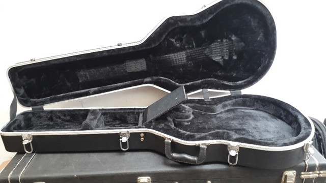 case gator les paul