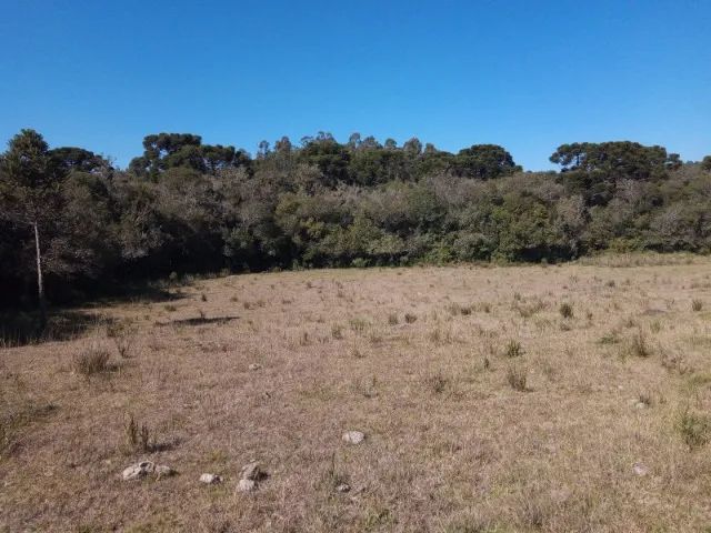 Chácara 2,0 Ha Dalagno - Foto 7